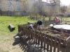 dscn3904